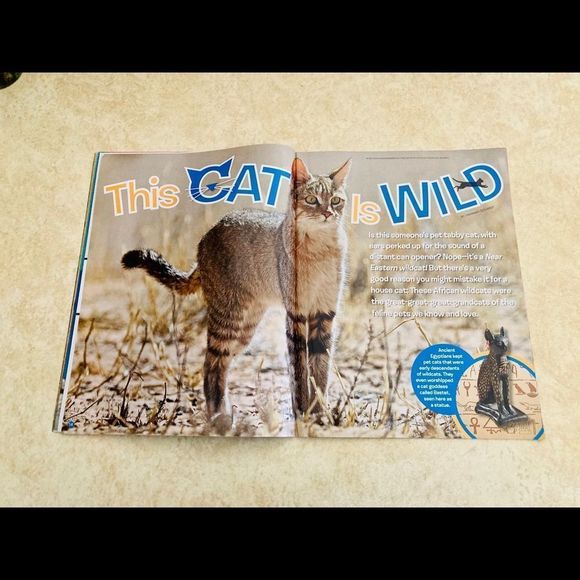 Ranger Rick Magazines Bundle - Picture 14 of 16